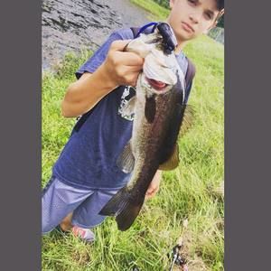 Meet your Posher, Henry